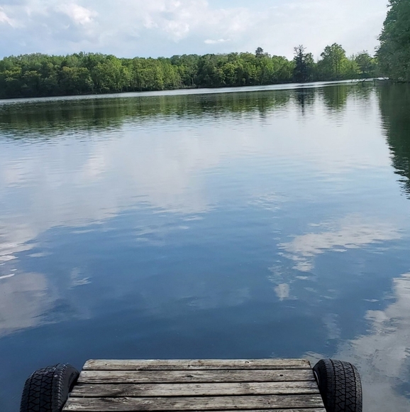 Meet your Posher, Aaron - Picture 1 of 2